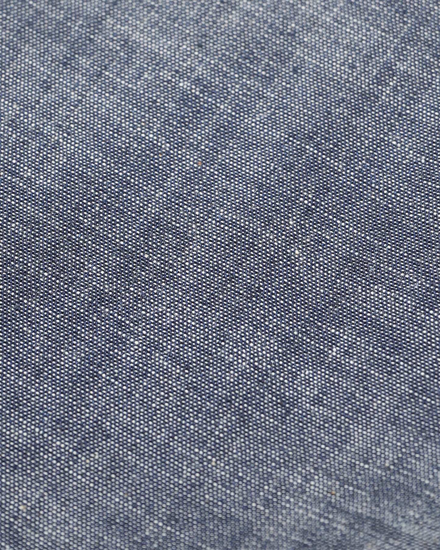 Alternates & Co. Lot.0401 Chambray Work Shirt (Long Sleeve)